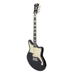 D'Angelico Premier Bedford Black Flake