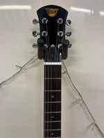 Pignose - PGG 200 Portable Guitar - Built Amp - Inc Gig bag