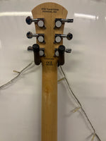 Pignose - PGG 200 Portable Guitar - Built Amp - Inc Gig bag