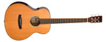 Tanglewood TRS1E Rosewood Smart Series Acoustic Guitar