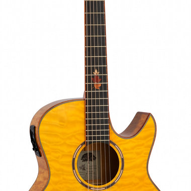 Tanglewood Winterleaf Exotic series TWX6CESMF Electro Acoustic Guitar