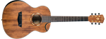 Washburn Comfort G-Mini 55 Koa Acoustic Guitar