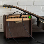 Fishman Loudbox Mini Acoustic Amplifier