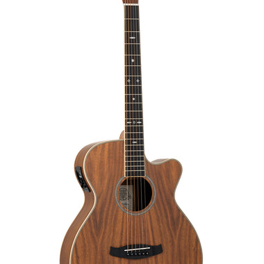 Tanglewood Reunion Pro TRU4CEAK
