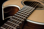 Washburn Festival Series EA20S Electro Acoustic-Nuno (Nuno Bettencourt)