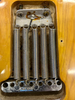 1976 Vintage Fender Stratocaster Inc Hard Case