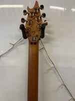 EVH Wolfgang Special QM Baked Maple Purple Burst - Inc Hard Case