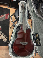 Emerald x20 carbon fiber Electro Acoustic guitar Inc Emerald Hard Case