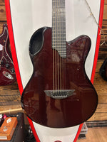 Emerald x20 carbon fiber Electro Acoustic guitar Inc Emerald Hard Case