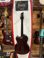 Emerald x20 carbon fiber Electro Acoustic guitar Inc Emerald Hard Case