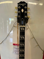 Epiphone Artist Collection - Nancy Wilson Fanatic - Inc Epiphone hard Case