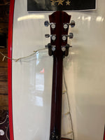 Farida D-21CE SB (Fishman) Electro Acoustic Guitar w/ Hardcase