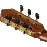 Ortega Guitars Grand Suite - TCE