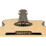 Ortega Guitars Grand Suite - TCE