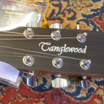 Tanglewood TW3E Winterleaf Electro Acoustic Guitar