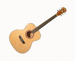 Washburn AF5-Folk Apprentice Series Acoustic Guitar